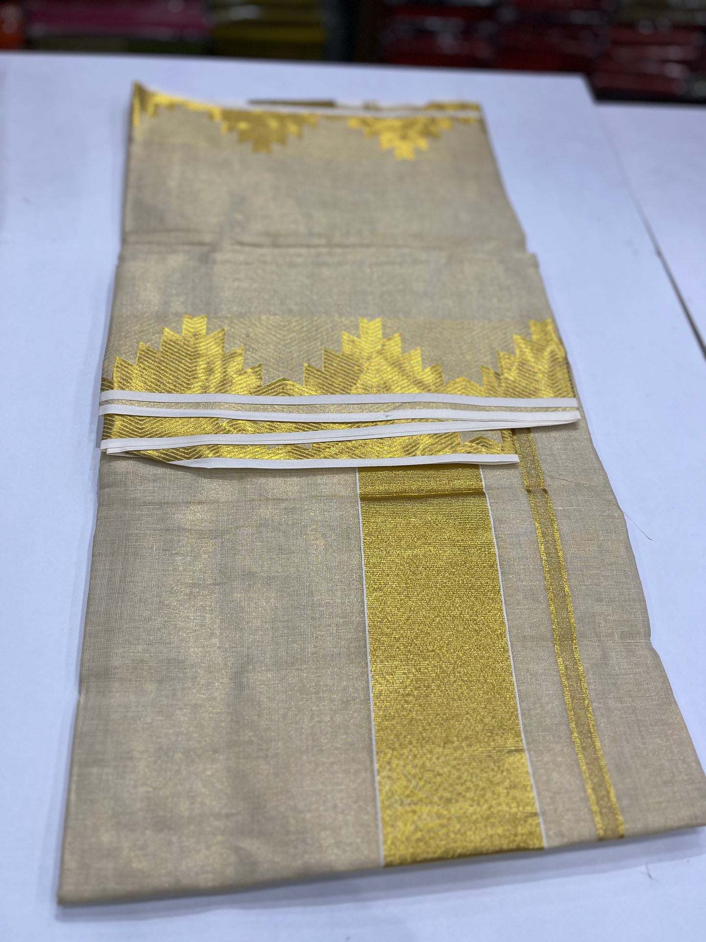 Tissue Setsaree With Temple Border